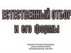 Естественный отбор и его формы