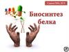 Биосинтез белка. Сдаем ГИА, ЕГЭ