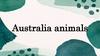 Australian animals