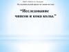 Исследование чипсов и кока колы