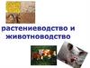 Растениеводство и животноводство