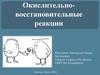 Окислительно- восстановительные реакции