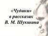 «Чудики» в рассказах В.М. Шукшина