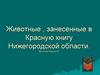 Животные, занесенные в Красную книгу Нижегородской области