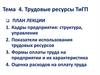 Трудовые ресурсы ТиГП. Тема 4