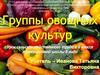 Группы овощных культур