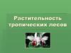 Растительность тропических лесов
