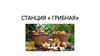 Станция «Грибная»