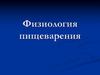 Физиология пищеварения