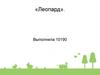 Леопард
