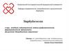 Семейство – Staphylococcaceae. Диагностика стафилококковых инфекций