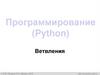 Программирование (Python). Ветвления. 8 класс