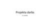 Projekta darbs