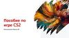 Пособие по игре CS2. Основные правила игры в CS2