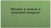 Физика в живой и неживой природе. Почему водомерка бегает по воде?