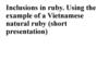 Inclusions in ruby. Using the example of a Vietnamese natural ruby (short presentation)