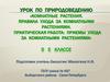 Комнатные растения. Правила ухода за комнатными растениями. Практическая работа: приемы ухода за комнатными растениями