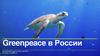 Greenpeace в России