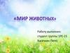Мир животных