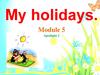 My holidays. Module 5