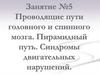 Проводящие пути головного и спинного мозга. Пирамидный путь. Синдромы двигательных нарушений. Занятие №5