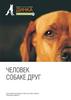 Человек собаке друг. Приют для собак