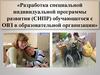 Разработка специальной индивидуальной программы развития (СИПР) обучающегося с ОВЗ в образовательной организации