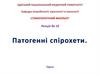 Патогенні спірохети