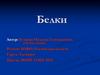 Белки
