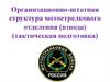 Организационно-штатная структура мотострелкового отделения (взвода) (тактическая подготовка)