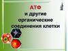 АТФ и другие органические соединения клетки