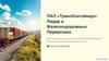 ПАО «ТрансКонтейнер»: Лидер в Железнодорожных Перевозках