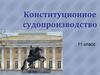 Конституционное судопроизводство. 11 класс