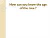How can you know the age of the tree?