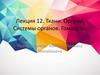 Ткани. Органы. Системы органов. Гомеостаз. Лекция 12