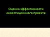 Оценка эффективности инвестиционного проекта