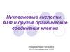 Нуклеиновые кислоты. АТФ и другие органические соединения клетки