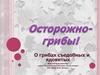О грибах съедобных и ядовитых