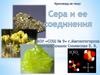 Сера и её соединения. Кроссворд
