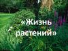 Жизнь растений