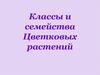Классы и семейства Цветковых растений