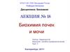 Биохимия почек и мочи  (лекция № 18)
