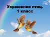 Украшения птиц. 1 класс