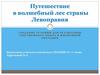 Путешествие в волшебный лес страны Левоправия (создание условий для реализации собственного опыта в жизненной ситуации)