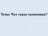 Что такое экономика?