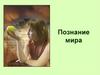Познание мира