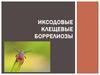 Иксодовые клещевые боррелиозы