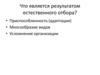 Адаптации как результат естественного отбора