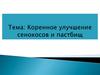 Коренное улучшение сенокосов и пастбищ. Гидротехнические и культуртехнические мероприятия