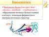 Биосинтез белка